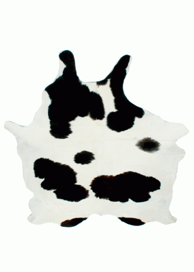Kuhfell schwarz-weiss ca. 3-4m2
